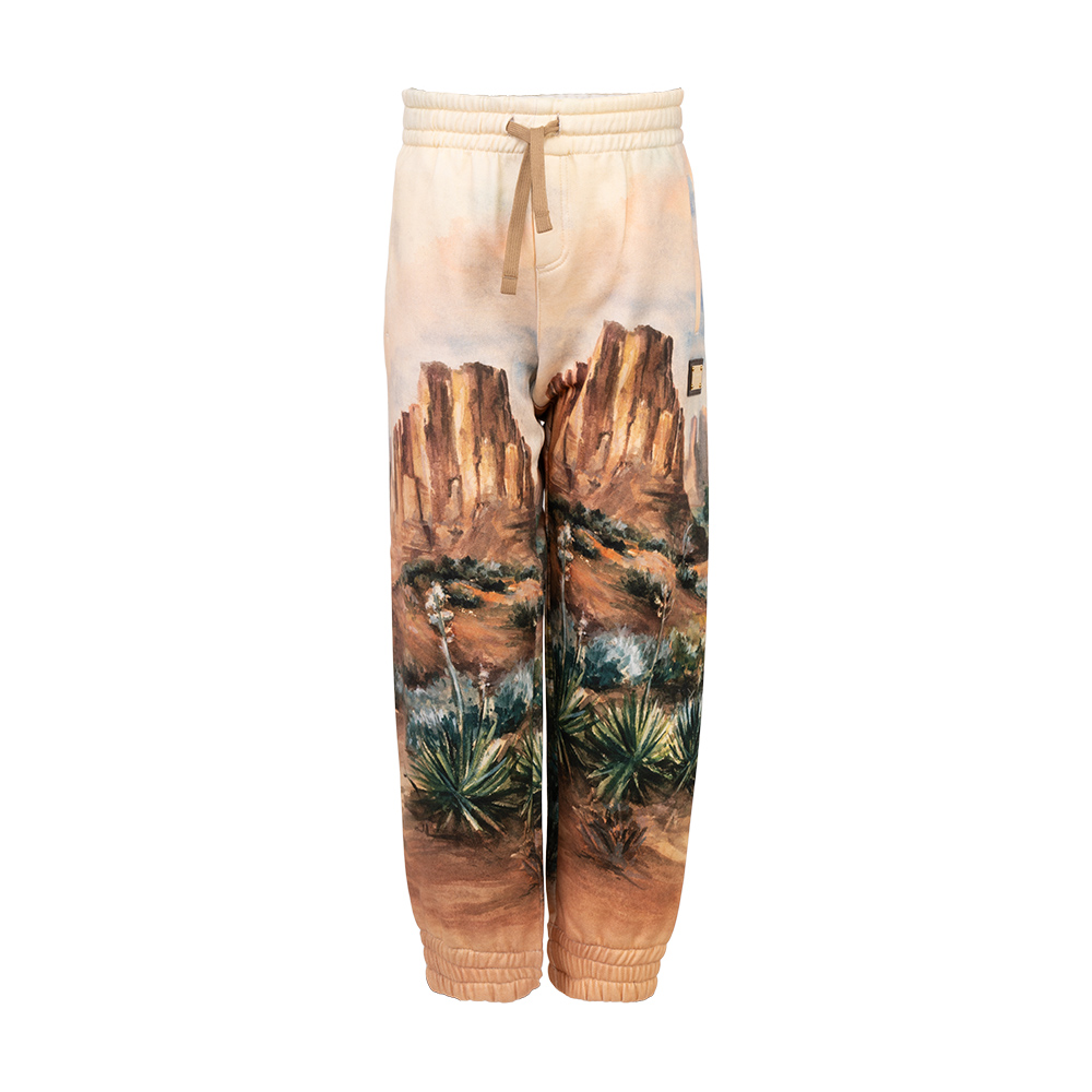 Брюки L4JPIF G7KE3 HH4UO DOLCE&GABBANA  - фото 1