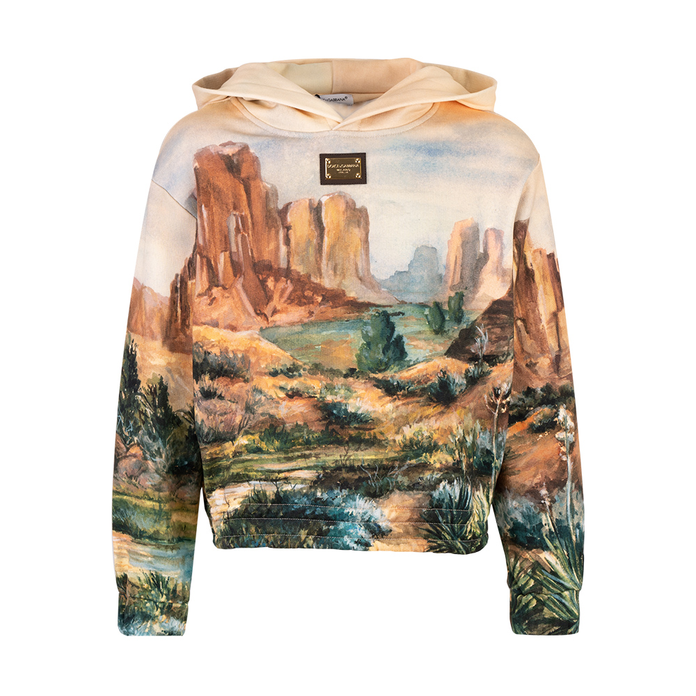 Худи L4JWIK G7KE3 HH4UO DOLCE&GABBANA  - фото 1